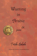 Wanting in Arabic cover